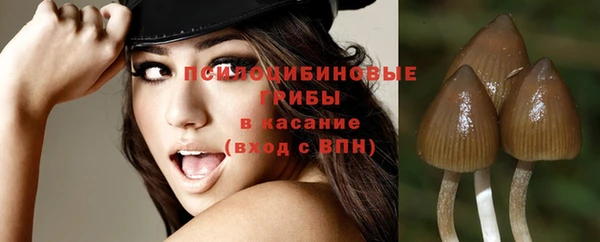 мяу мяу мука Переславль-Залесский