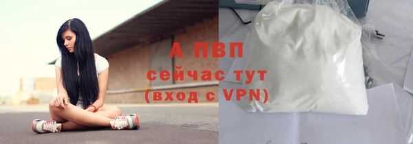 мяу мяу мука Переславль-Залесский