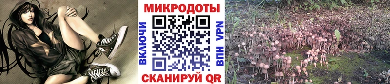 OMG ONION  где купить   Кинешма  Псилоцибиновые грибы MAGIC MUSHROOMS 